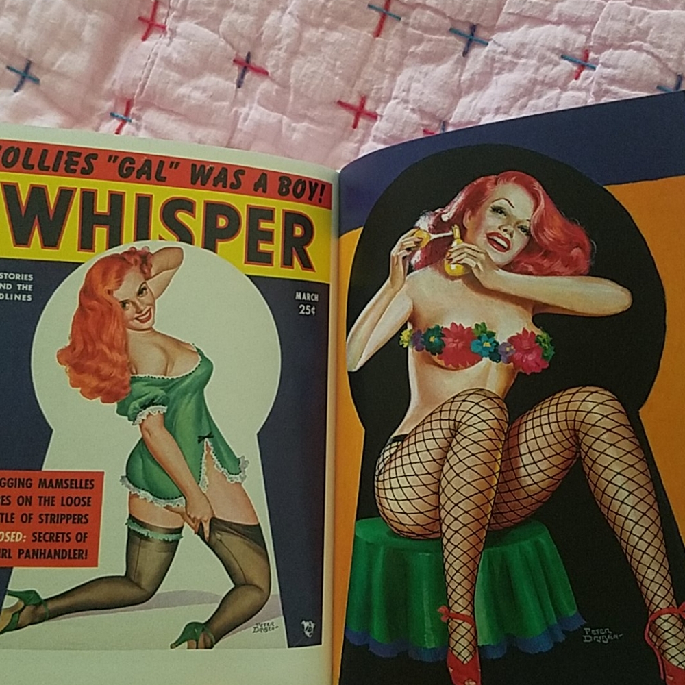 Driben Pin Up Book